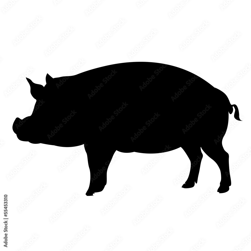 Pig silhouette Pig silhouette