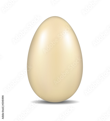 Realistic egg