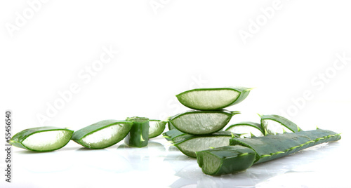 Aloe vera plant isolated on white