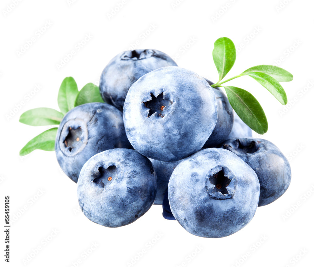 Blueberries with leaves on white background