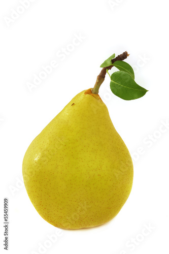 ant on a yellow pear