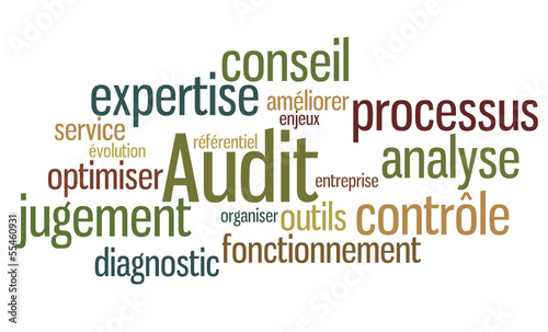 Nuage de mots : Audit