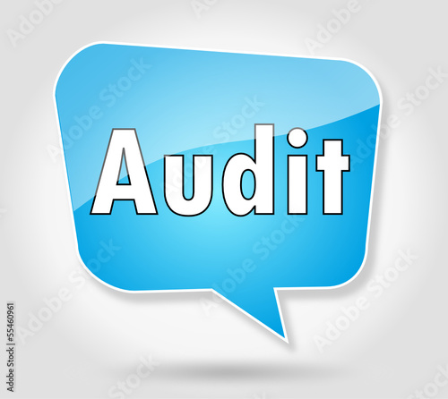 Bulle : Audit