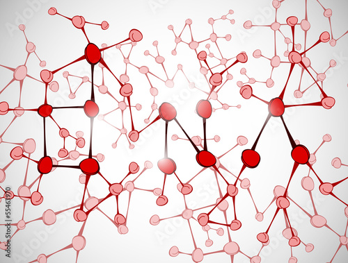 DNA molecule