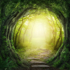 Fototapete Landschaften Straße im dunklen Wald  © Elena Schweitzer