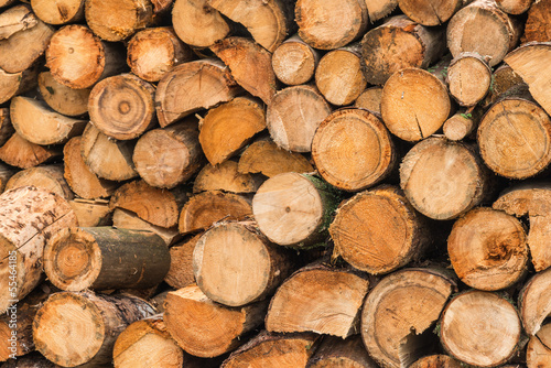 Timber background