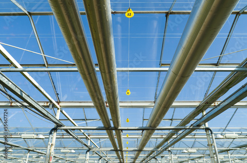 interior of a greenhouse