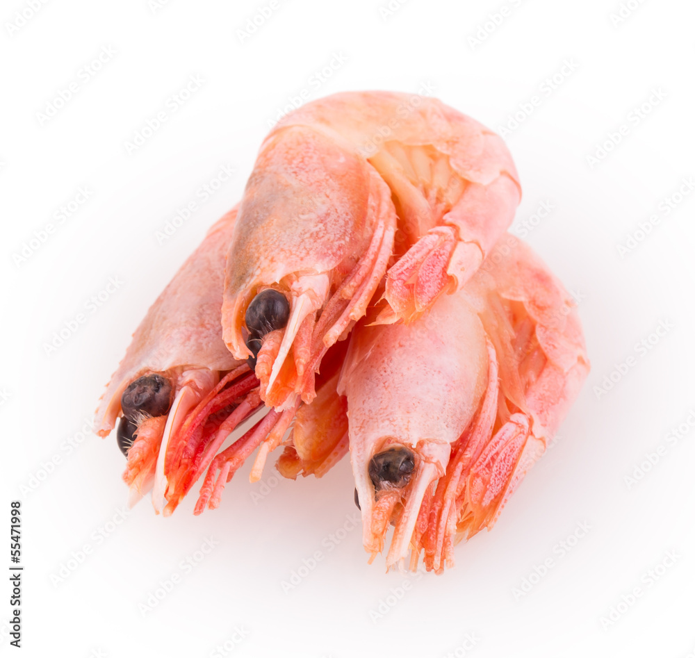 shrimp