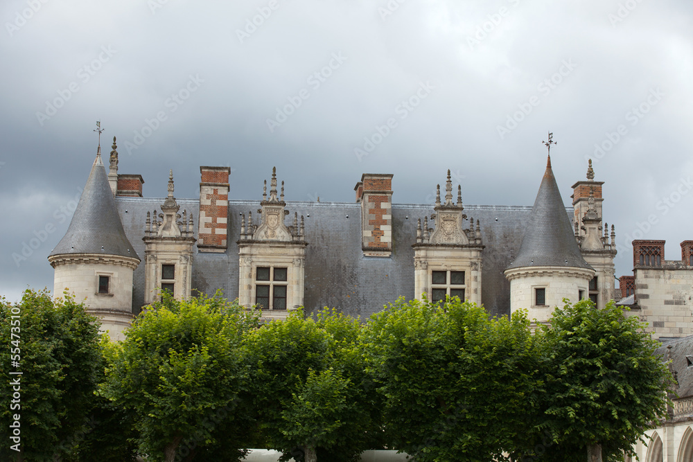 Fototapeta premium Amboise castle .Valley of the river Loire. France