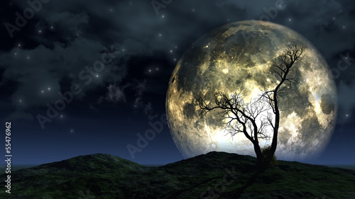 Tree and moon background