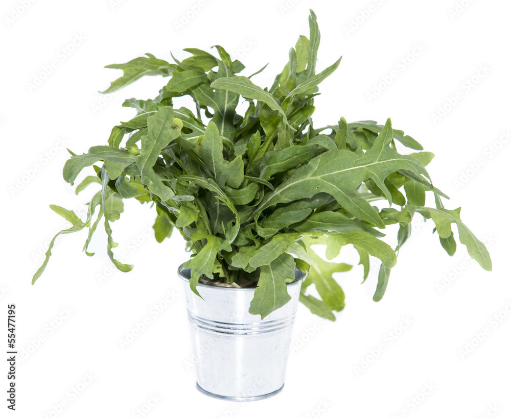 Naklejka premium Isolated Arugula