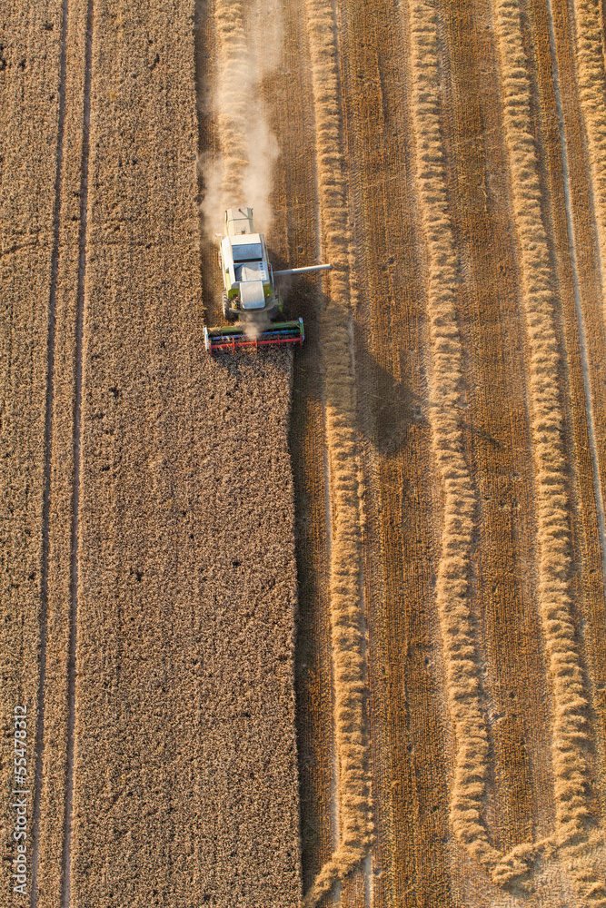 aerial view of combine on harvest field aerial view of combine on harvest field
