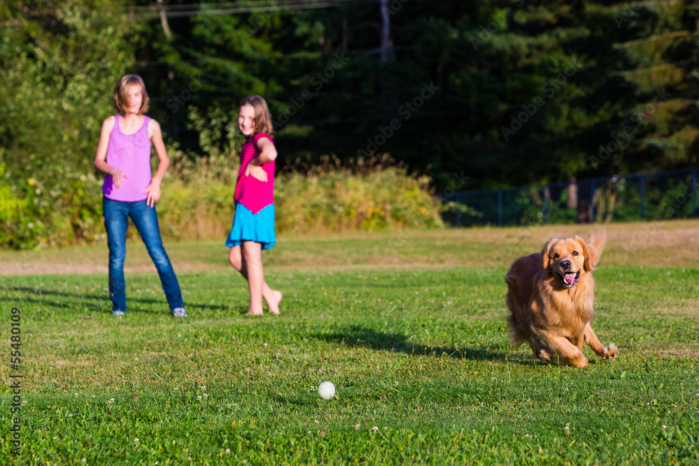 Obraz premium Dog chasing ball