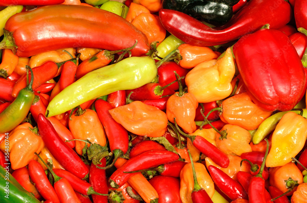 Spicy peppers Spicy peppers