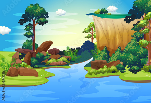 A forest with a deep river