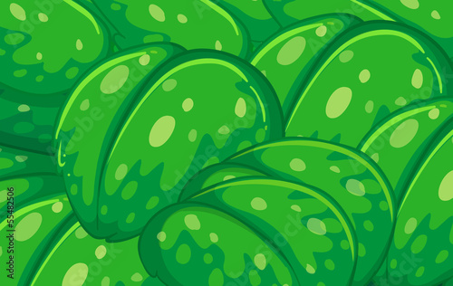 A group of big leaves
