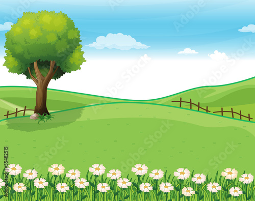 A hilltop with a garden and a giant tree