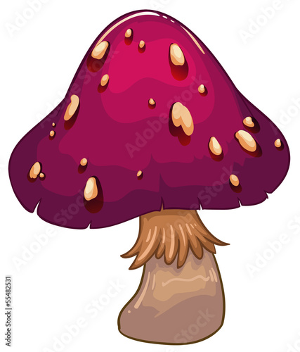A giant mushroom plant