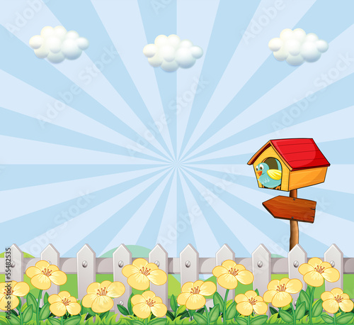 A bird at the birdhouse near the wooden fence