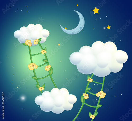 Green ladders with flowers going to the clouds