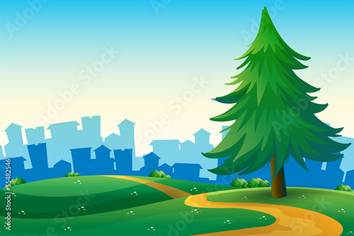 Hills with a big pine tree near the tall buildings