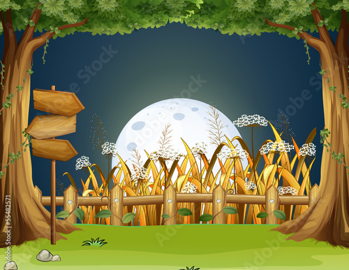 A forest with wooden arrowboards