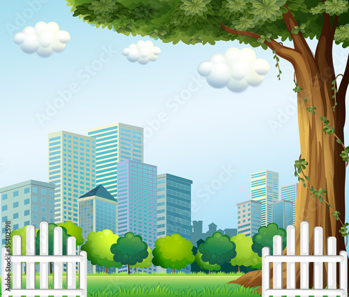 A giant tree near the wooden fence across the tall buildings