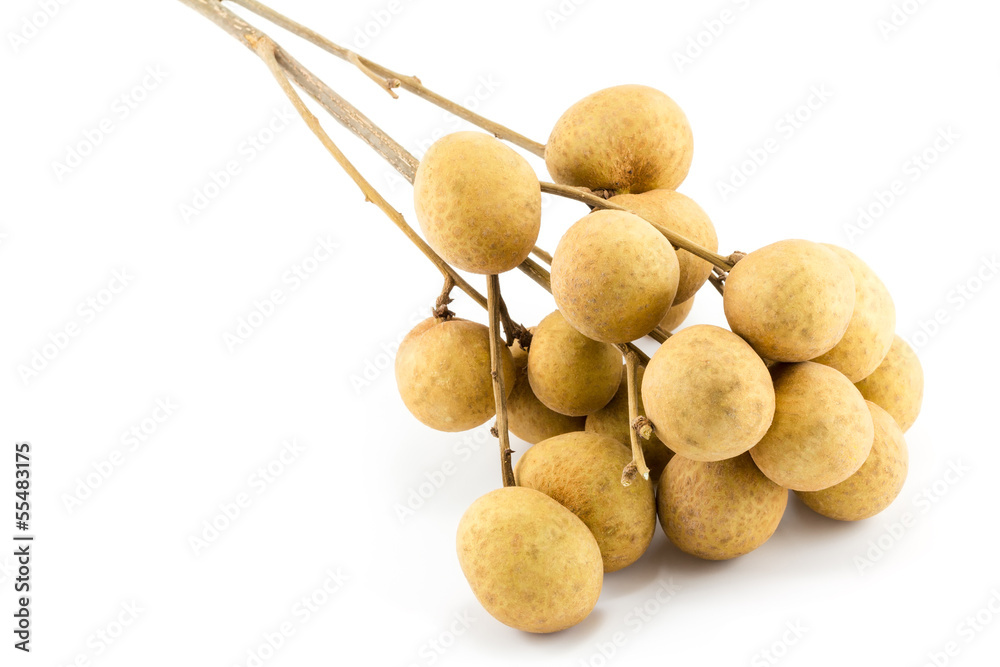 longan isolated on a white background longan isolated on a white background