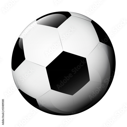 isolated classic football ball on white vector