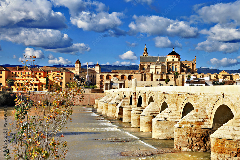 Cordoba, Spain . view with mosque and bridge