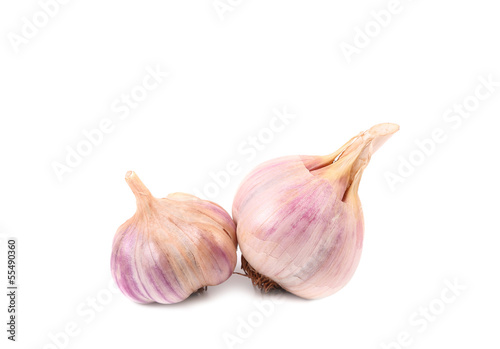 Garlic. Close up.