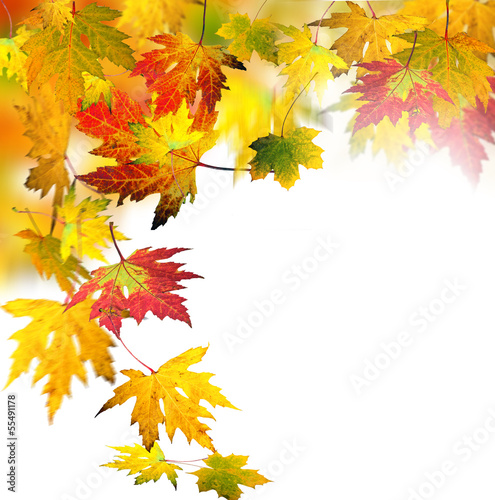 Herbst: Fallende, bunte Blätter