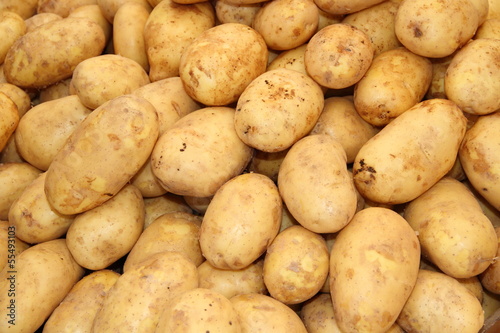 Cuadro en lienzo neue Kartoffeln