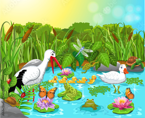 wild life in the pond
