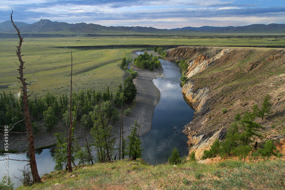 Arbre mort dans les gorges de l'Orkhon