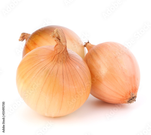 Wallpaper Mural Onion Torontodigital.ca