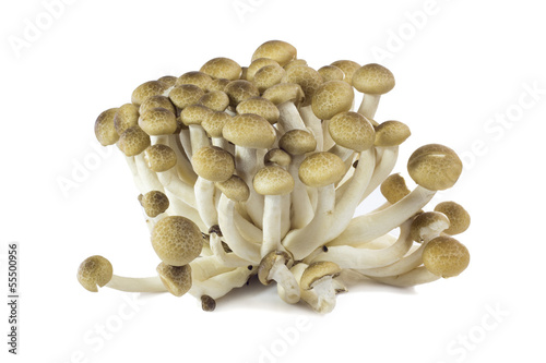 White mushrooms to delicious