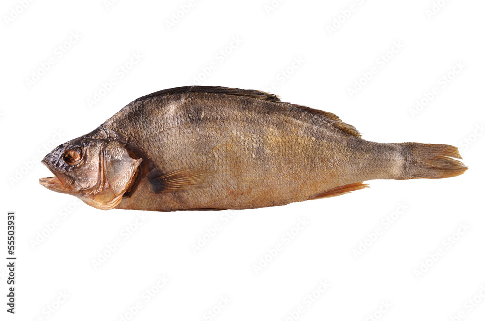 Fototapeta premium Fish