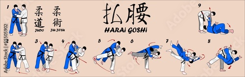 Judo Martial art technique
