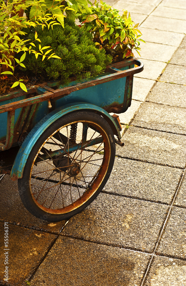 Antique Flower Cart
