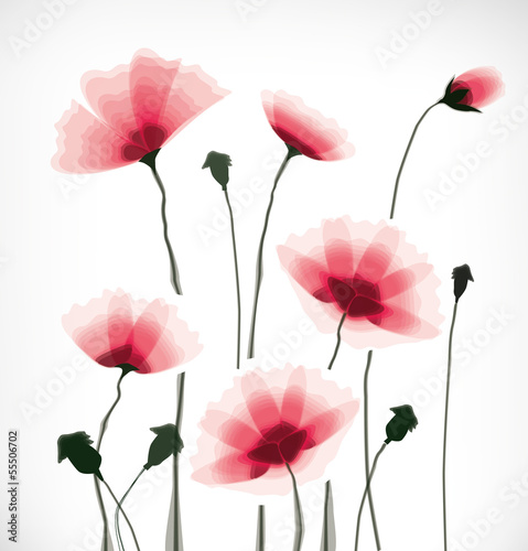 Fototapeta Naklejka Na Ścianę i Meble -  flowers