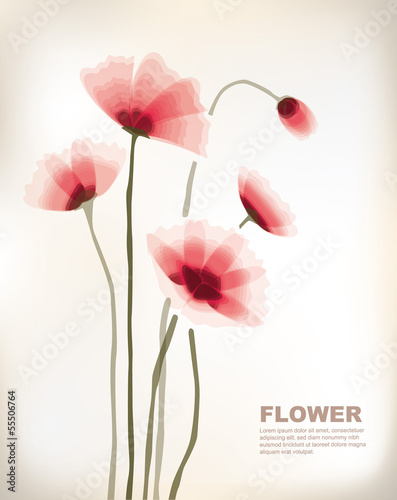 Fototapeta Naklejka Na Ścianę i Meble -  flowers