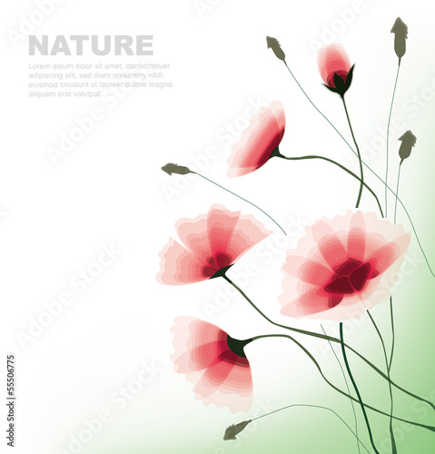 Fototapeta Naklejka Na Ścianę i Meble -  flowers