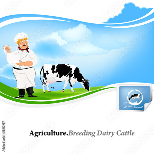 Agriculture.Breeding dairy Cattle.Vector background
