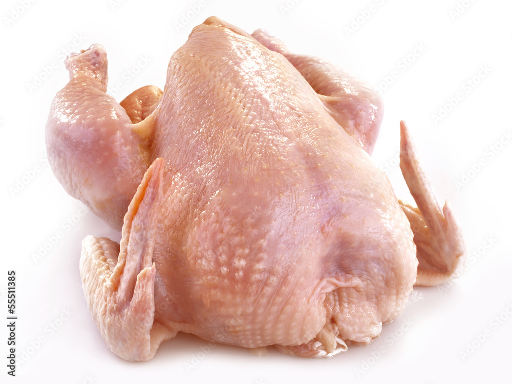 fresh chicken fresh chicken