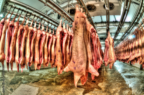 Fresh meat in a cold cut factory © Artem Merzlenko
