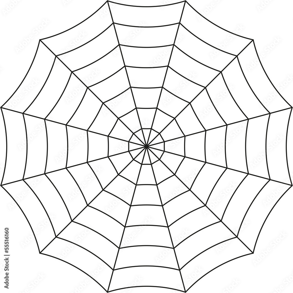 Obraz premium Spider web on a white background vector