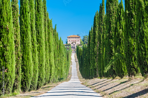 Tuscany countryside, typical villa with alley and cypresses