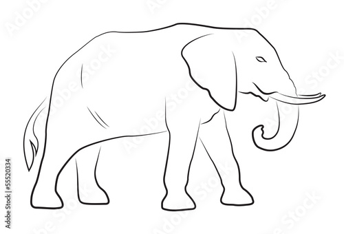 Elephant on white background