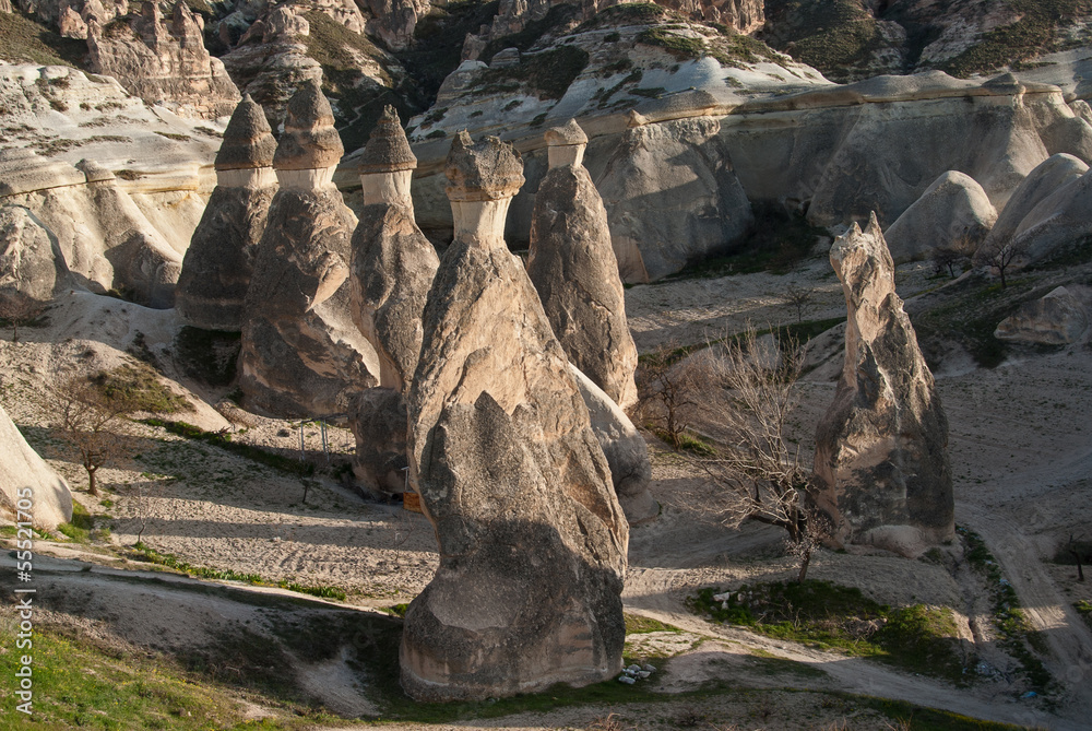 Typical landscape with fairy chimneys in Cappadocia, Turkey Typical landscape with fairy chimneys in Cappadocia, Turkey